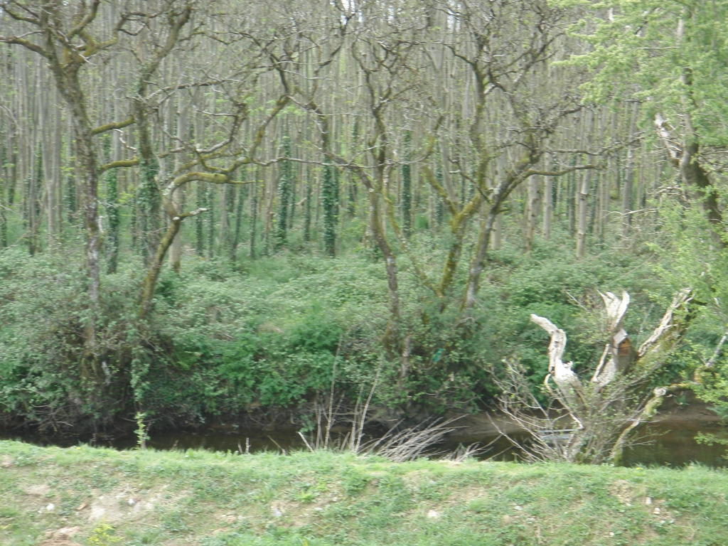 Woodlands House Panzió Farranfore Kültér fotó